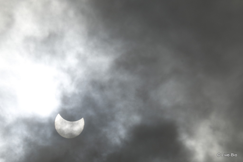 Partial solar eclipse