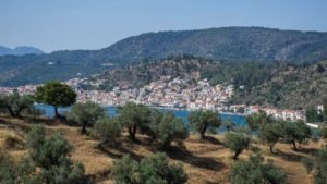 Live-Bio-view Poros