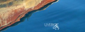 Live-Bio - logo