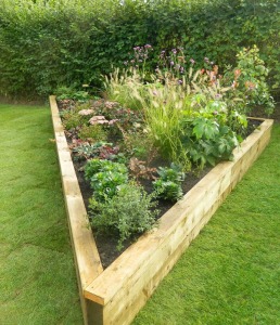 Raised beds vegetable garden