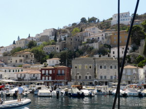 Live-Bio Hydra