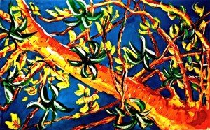 You can see olive trees in the area were an inspiration for Bill and Betty's paintings