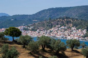 Live-Bio view on Poros