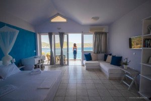 Your Live-Bio room with a view