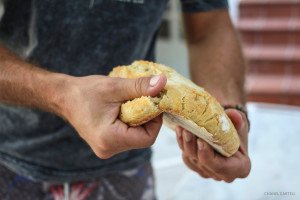 Bread baking and tasting at Live-Bio