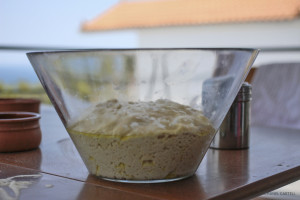 Bread making at Live-Bio