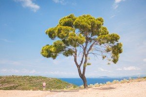 Na wyspie Spetses