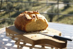 Our first homemade sourdough came out perfect! We just followed Periklis' recipe :-)