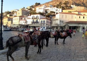 Hydra
