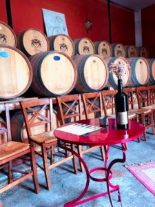 Wine tasting trip to Nemea - Palivou